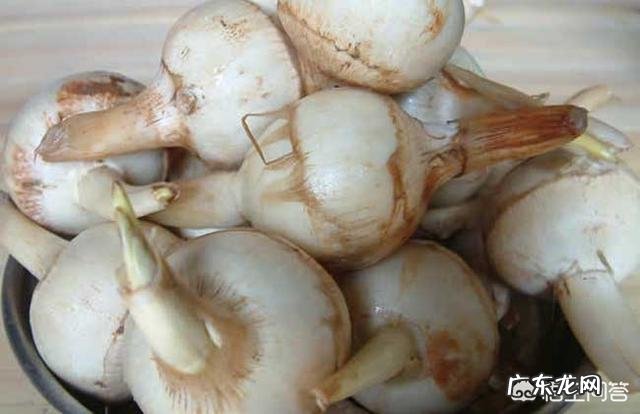 哪些蔬菜孕妇不能吃？