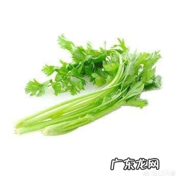 哪些蔬菜孕妇不能吃?