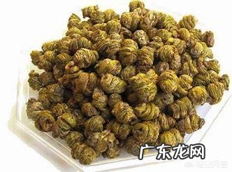 什么是铁皮石斛？