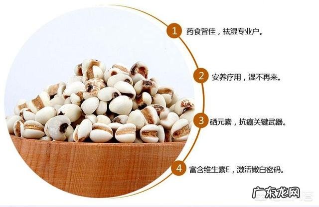 哪种薏米祛湿效果好?怎么吃效果更好?