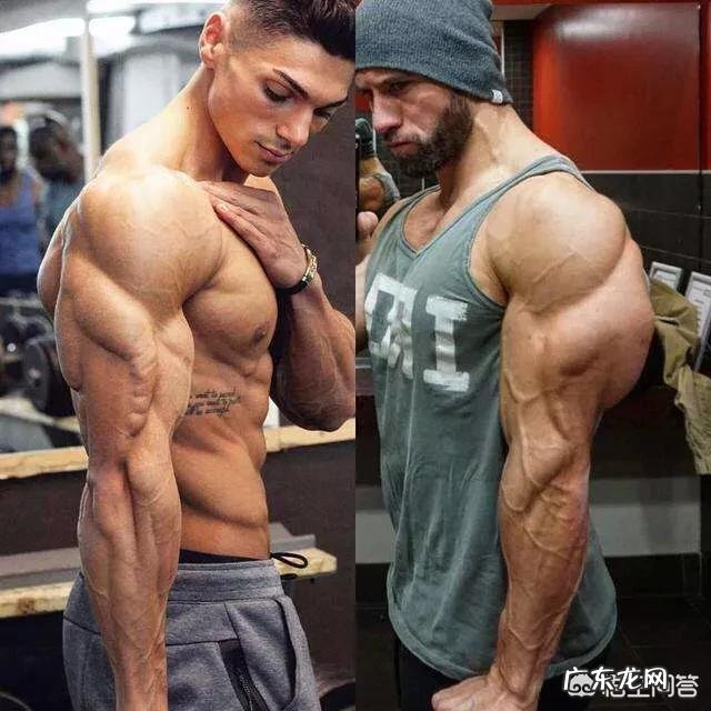 在减脂的过程中如何把握节食与锻炼的平衡?