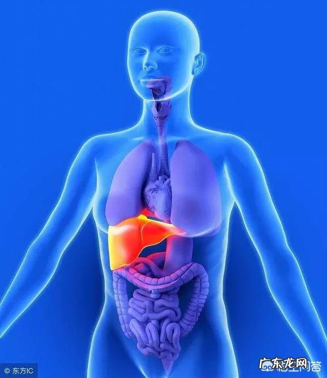 在减脂的过程中如何把握节食与锻炼的平衡?