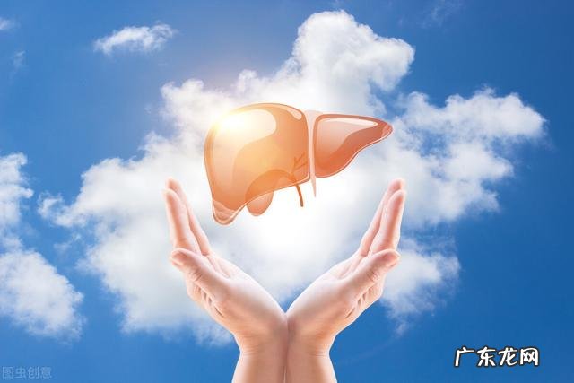 养肝护肝吃什么食物,喝什么茶比较好?