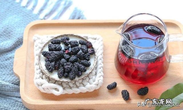 养肝护肝吃什么食物，喝什么茶比较好？