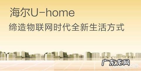 国内哪家公司的智能家居做得最好?