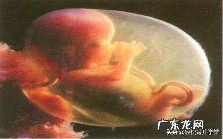 怀孕成功的时候实际上是有预兆的,您相信吗?