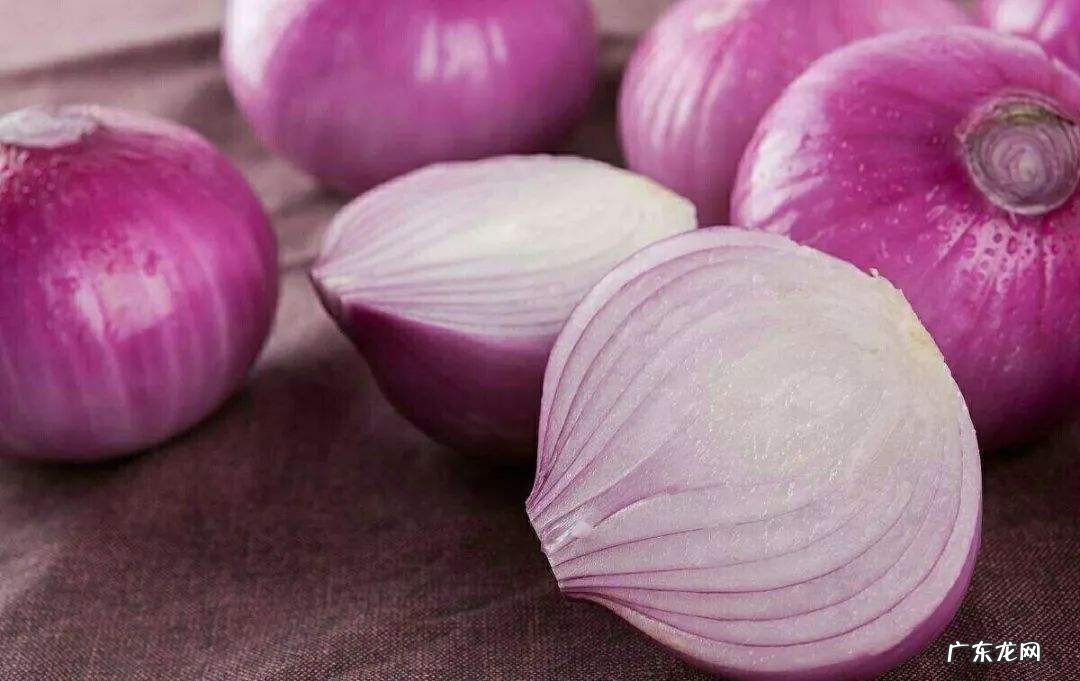 洋葱的炒作方法