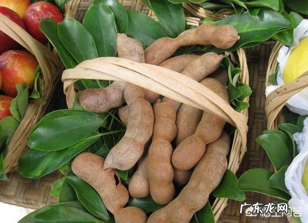 云南有什么土特产是比较值得推荐的?