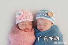 新生儿每天的奶量多少？