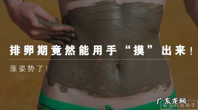 女生排卵期怎么算?期间几天内,会比较容易怀孕呢?