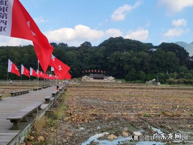 我想给孩子买益生菌,请问适合1岁孩子的益生菌哪个牌子好?