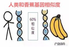 假如在大街上随便拿两个人，采集他们的NDA进行亲子鉴定，可以达到只有10%的相似度不？
