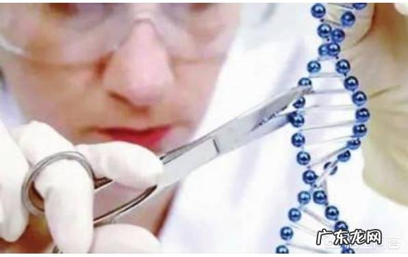 假如在大街上随便拿两个人,采集他们的NDA进行亲子鉴定,可以达到只有10%的相似度不?