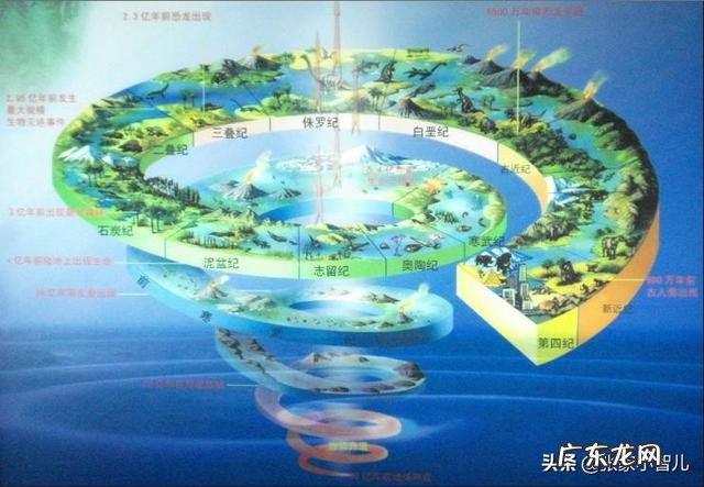 假如在大街上随便拿两个人，采集他们的NDA进行亲子鉴定，可以达到只有10%的相似度不？