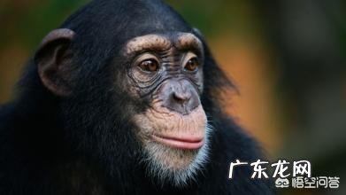 假如在大街上随便拿两个人,采集他们的NDA进行亲子鉴定,可以达到只有10%的相似度不?