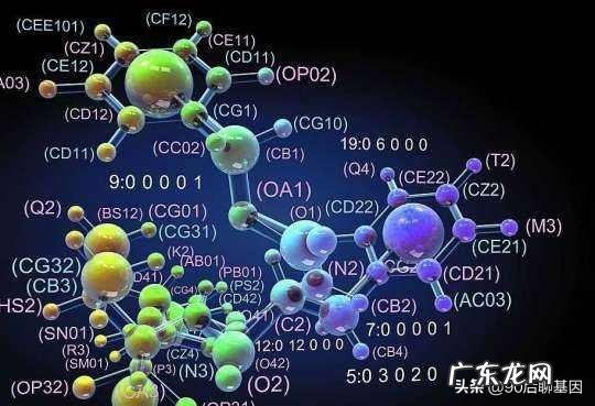 假如在大街上随便拿两个人，采集他们的NDA进行亲子鉴定，可以达到只有10%的相似度不？