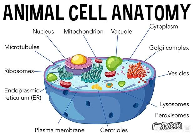 假如在大街上随便拿两个人,采集他们的NDA进行亲子鉴定,可以达到只有10%的相似度不?