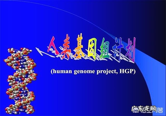 假如在大街上随便拿两个人,采集他们的NDA进行亲子鉴定,可以达到只有10%的相似度不?