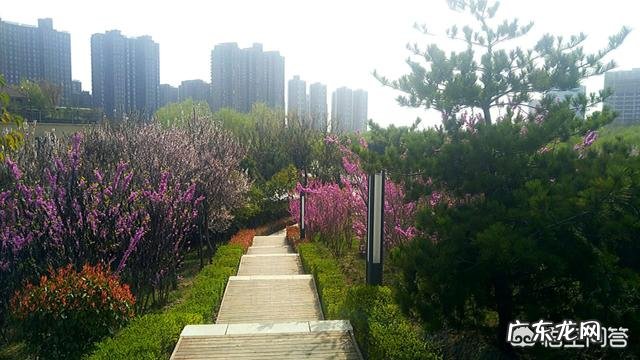 春天来了,你春游踏青了吗?