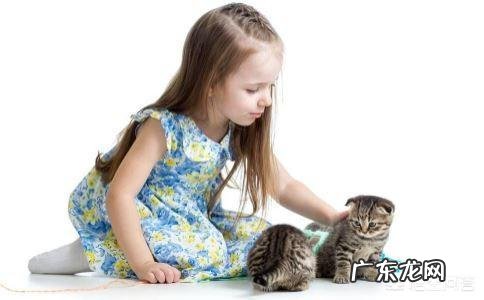 幼儿启蒙教育的重点是什么?