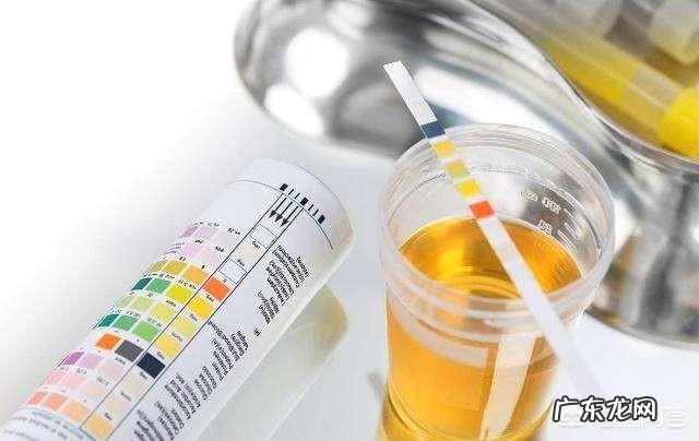 尿常规查出蛋白是什么原因？