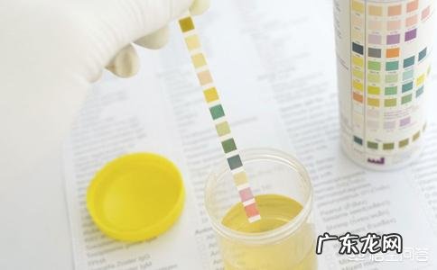 尿常规查出蛋白是什么原因？