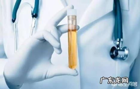 尿常规查出蛋白是什么原因？
