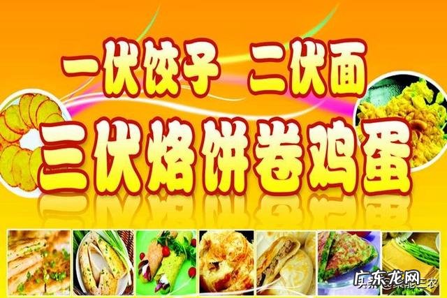明日入伏，入伏吃什么好？农村俗语“头伏饺子二伏面”是啥道理？
