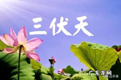 明日入伏,入伏吃什么好?农村俗语“头伏饺子二伏面”是啥道理?