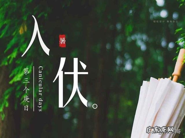 明日入伏，入伏吃什么好？农村俗语“头伏饺子二伏面”是啥道理？