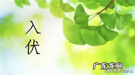 明日入伏，入伏吃什么好？农村俗语“头伏饺子二伏面”是啥道理？