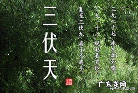 明日入伏，入伏吃什么好？农村俗语“头伏饺子二伏面”是啥道理？