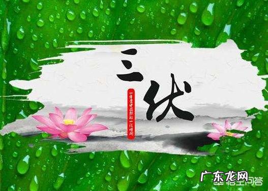 明日入伏，入伏吃什么好？农村俗语“头伏饺子二伏面”是啥道理？