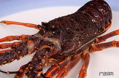 龙虾长时间保存