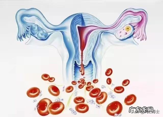出现什么症状表示没有怀孕?