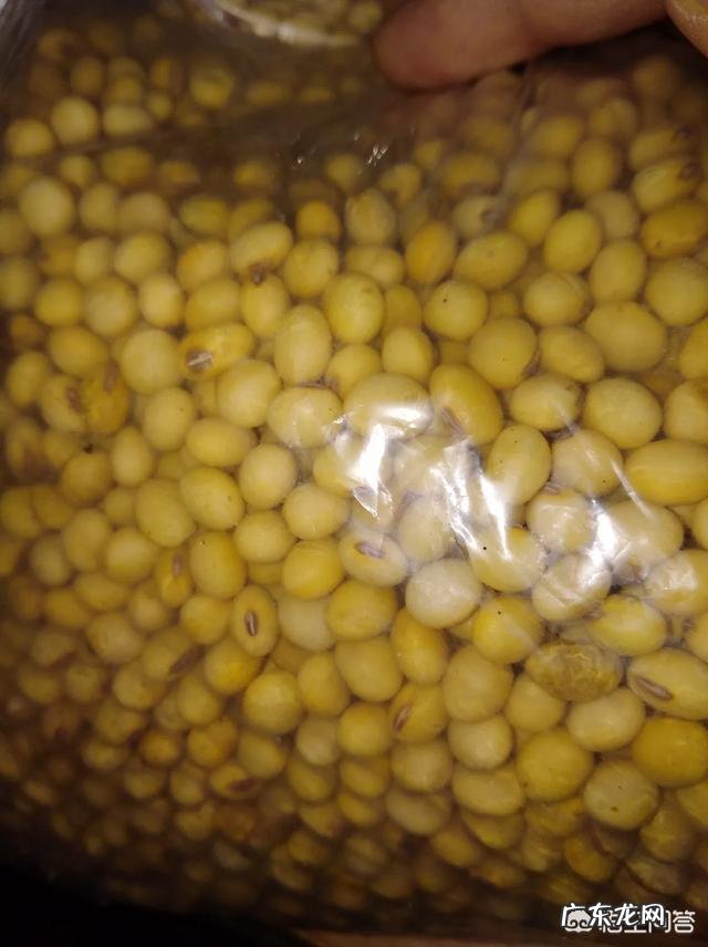 吃五谷杂粮对身体有什么好处?大家可以说说?