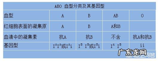 0血型与O血型的小孩是什么血型?