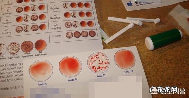 0血型与O血型的小孩是什么血型?