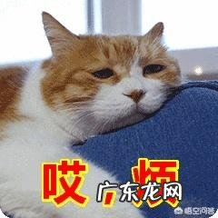 我脸上的红血丝很重,怎么祛除?