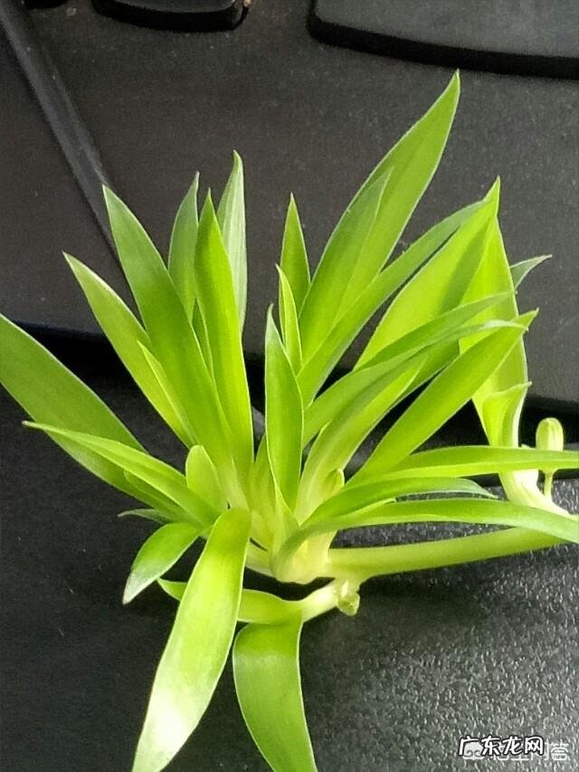 孕妇失眠对胎儿有什么影响？