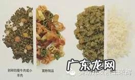 6-12个月宝宝辅食应该吃什么,怎么做呢?