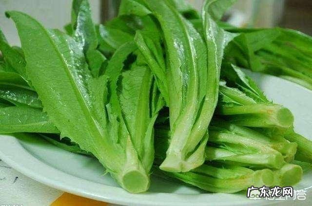 吃油麦菜有什么好处?
