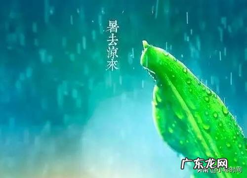今日立秋,农村俗语“立秋无雨是空秋”,说的是什么意思?立秋下雨好吗?