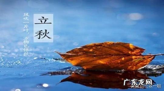 今日立秋，农村俗语“立秋无雨是空秋”，说的是什么意思？立秋下雨好吗？