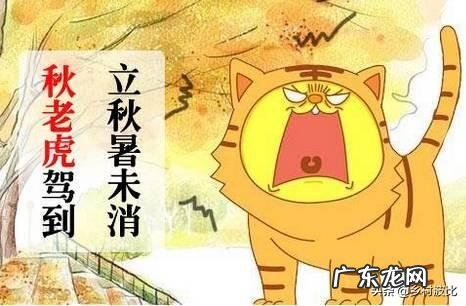 今日立秋,农村俗语“立秋无雨是空秋”,说的是什么意思?立秋下雨好吗?