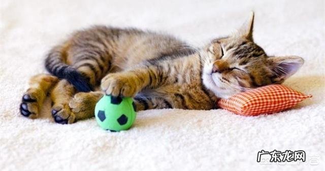 为什么在睡觉的时候身体会突然抖一下？