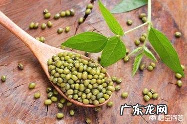 什么汤对女生最好?