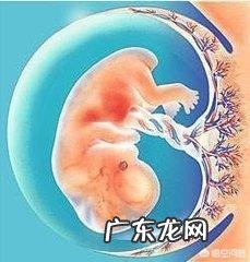 孕酮低孩子保得住吗?