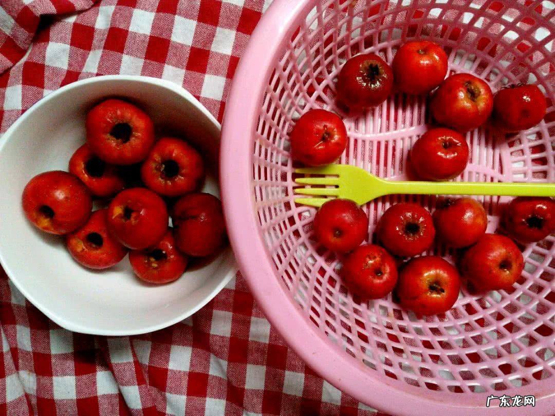 山楂罐头家庭自制法