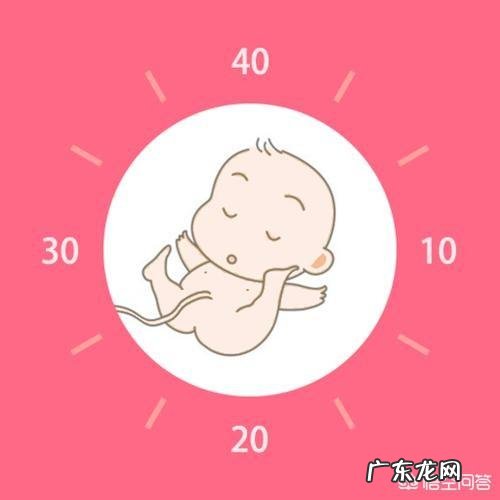 怀孕六个多月了，胎儿动的厉害，怎么回事？